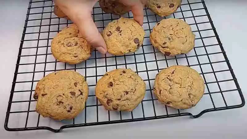 Peanut Butter Chocolate Chip Cookie Recipe